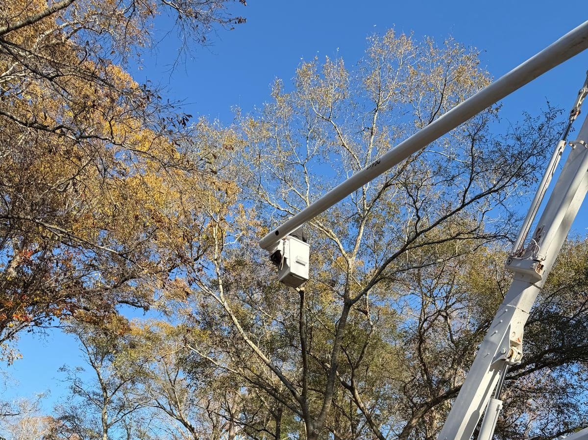 El Costeño Tree Service LLC